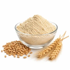 Gomer Chatu - Wheat Sattu (গমের ছাতু)