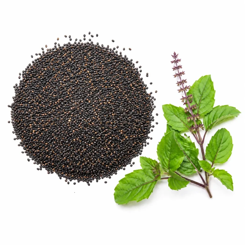 Basil Seeds - তুলসী বীজ